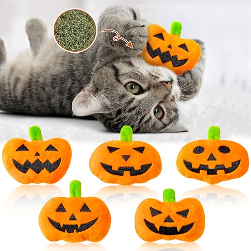 MALLMALL6 Halloween Catnip Toys – 5pcs Pumpkin Teething Set for Kittens & Cats
