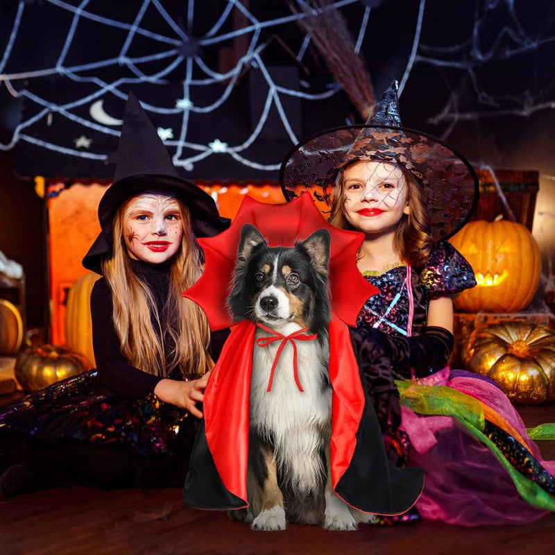 Vampire, Witch & Wizard Cloak for Cats & Small Dogs