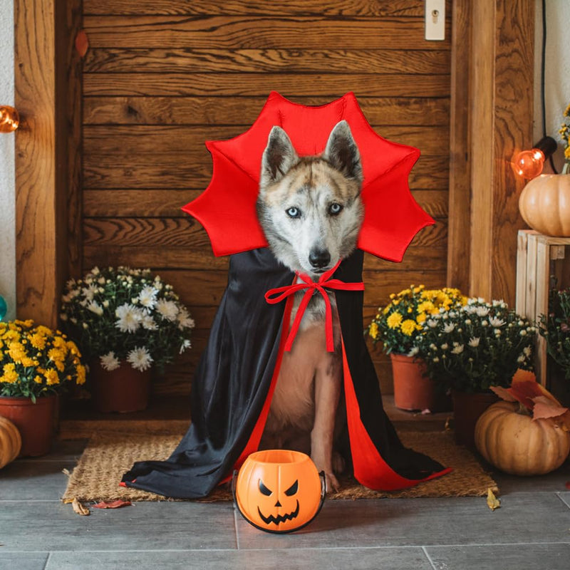 Vampire, Witch & Wizard Cloak for Cats & Small Dogs