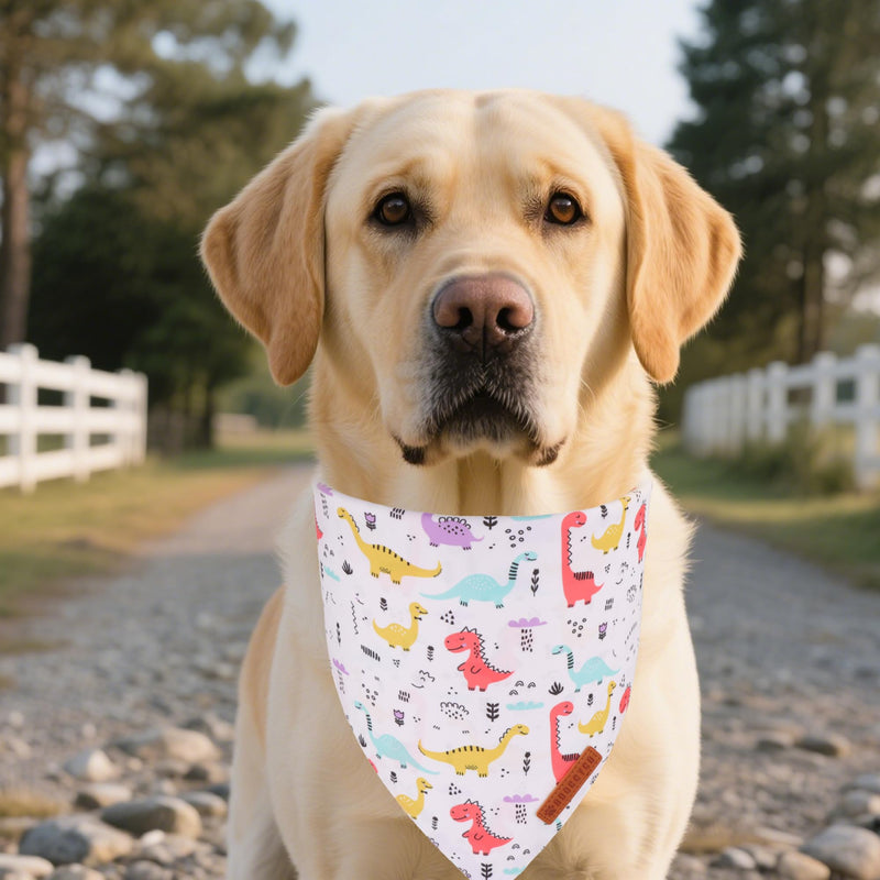 ADOGGYGO Halloween Dog Bandana