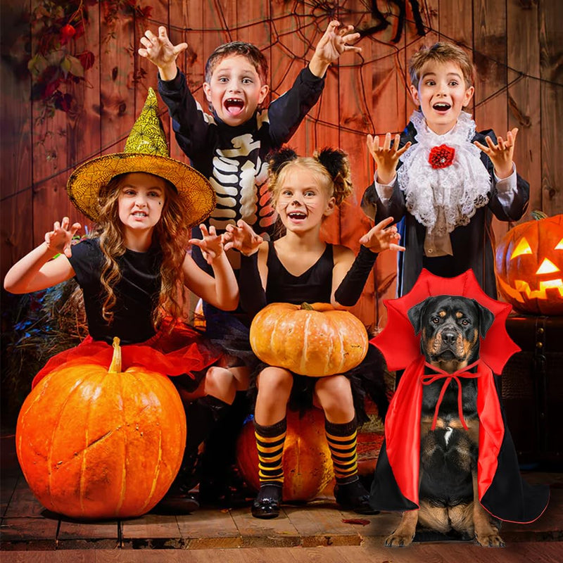 Vampire, Witch & Wizard Cloak for Cats & Small Dogs