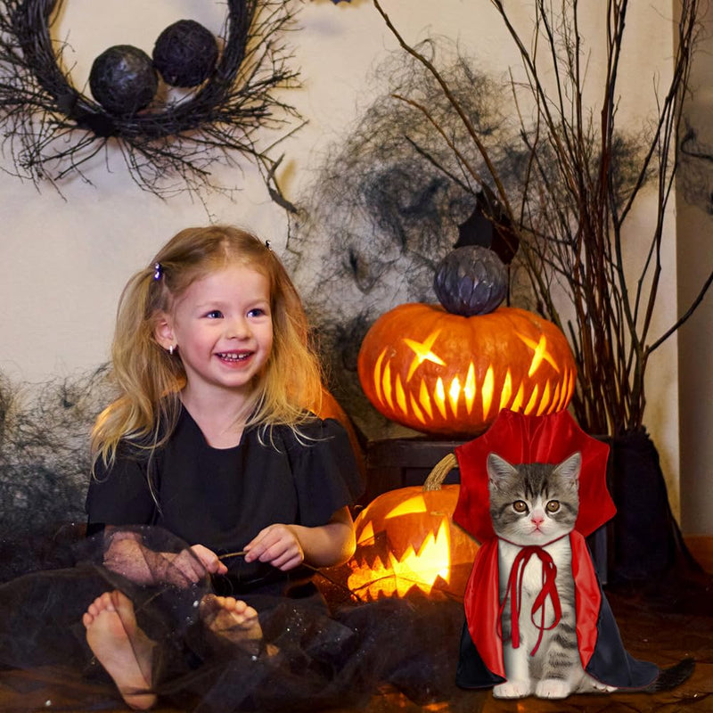 Vampire/Wizard/Witch Costume for Cats & Small Dogs