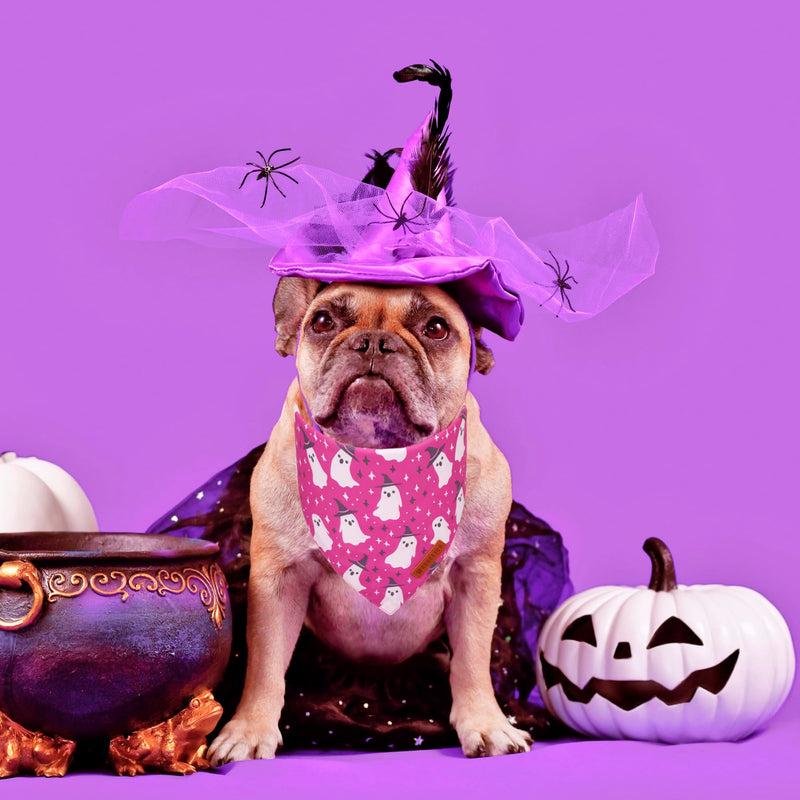 ADOGGYGO Halloween Dog Bandana