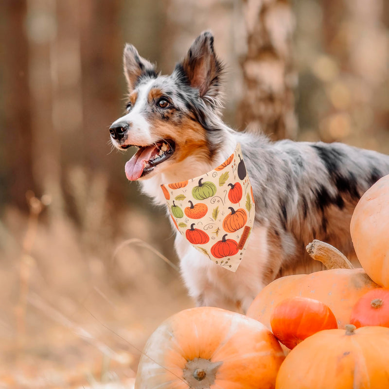 ADOGGYGO Halloween Dog Bandana