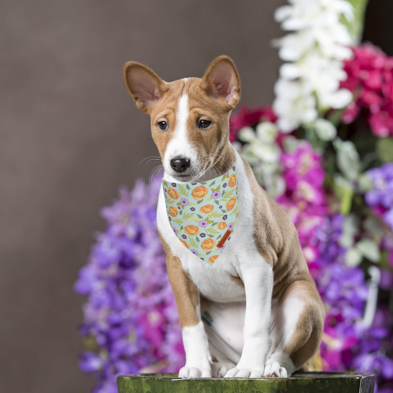 ADOGGYGO Halloween Dog Bandana