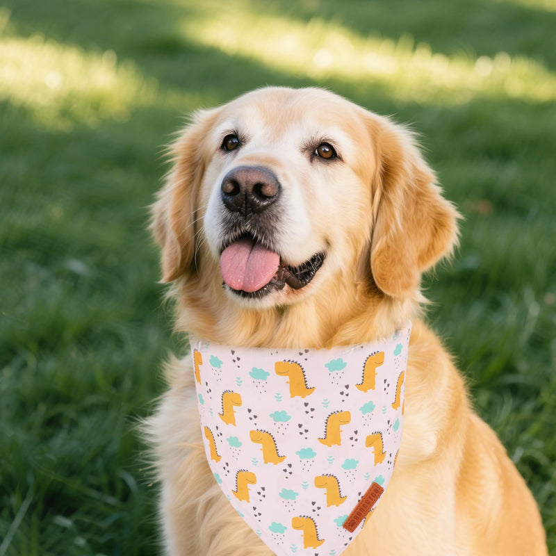 ADOGGYGO Halloween Dog Bandana
