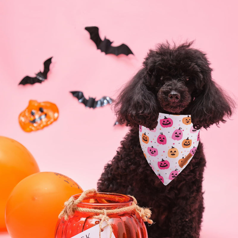 ADOGGYGO Halloween Dog Bandana