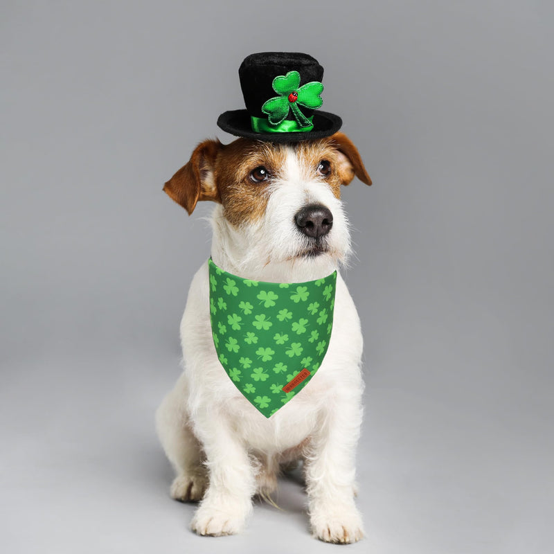 ADOGGYGO Halloween Dog Bandana