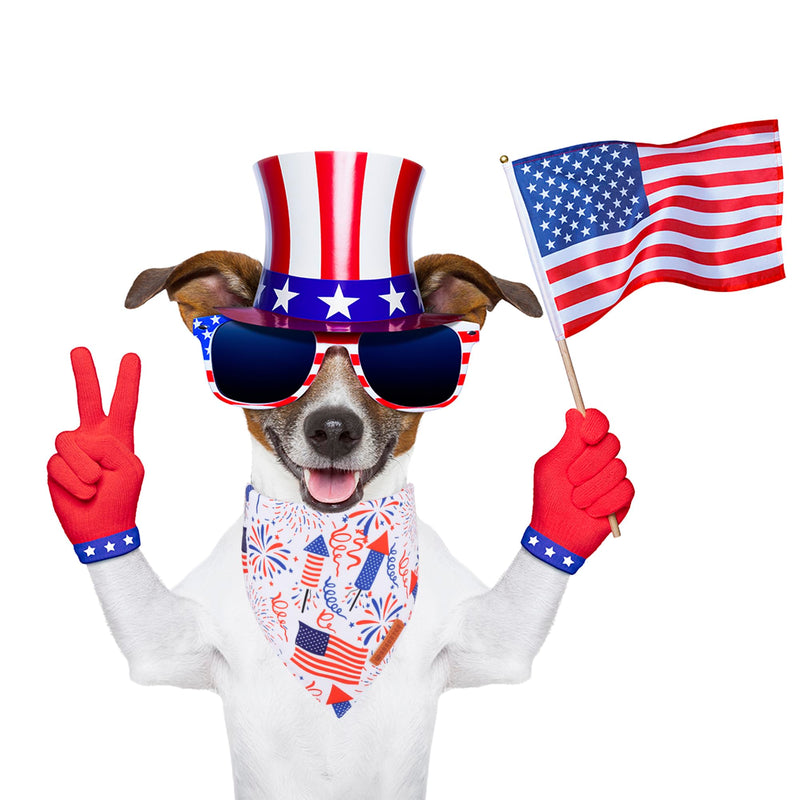 ADOGGYGO Halloween Dog Bandana