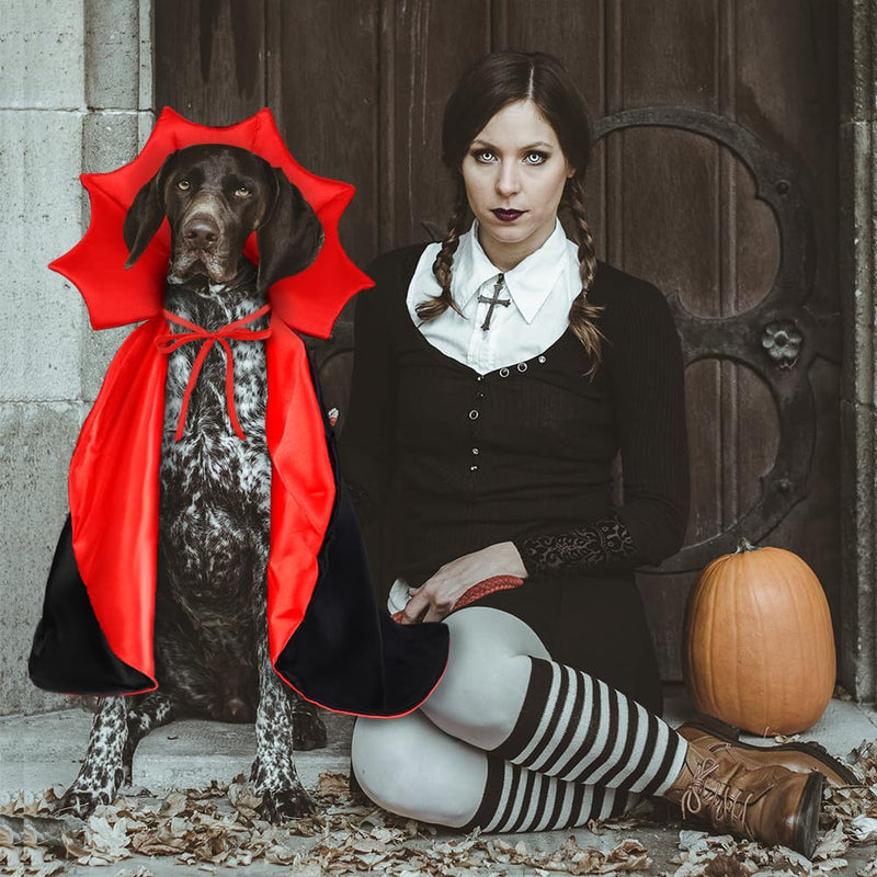 Vampire, Witch & Wizard Cloak for Cats & Small Dogs
