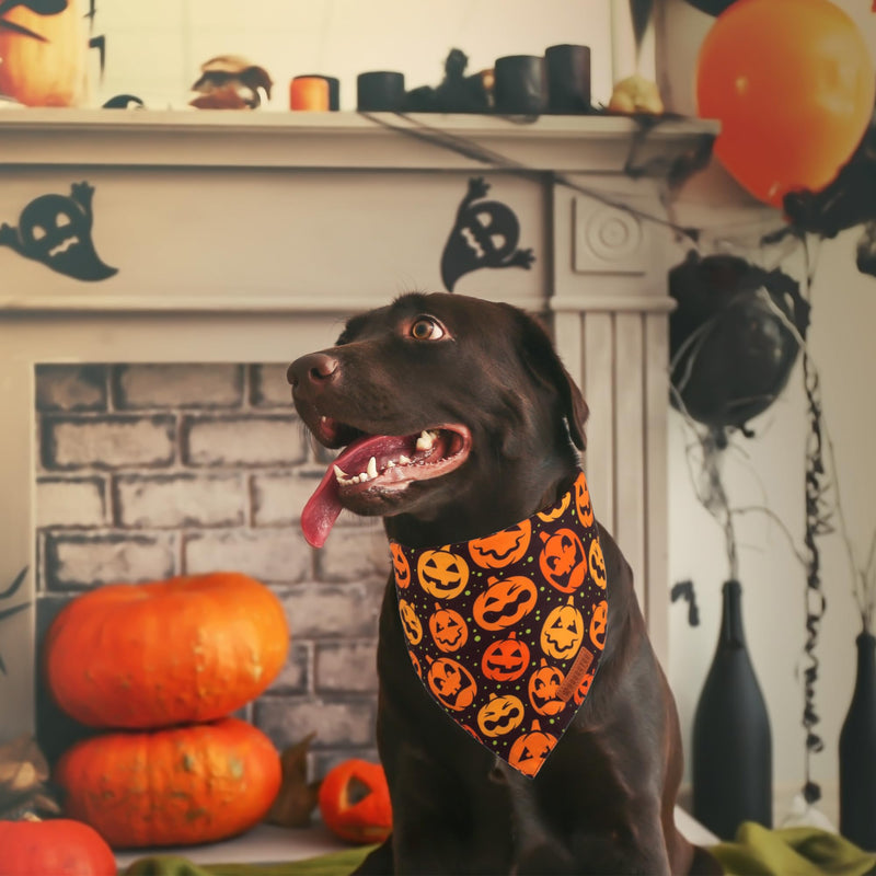 ADOGGYGO Halloween Dog Bandana