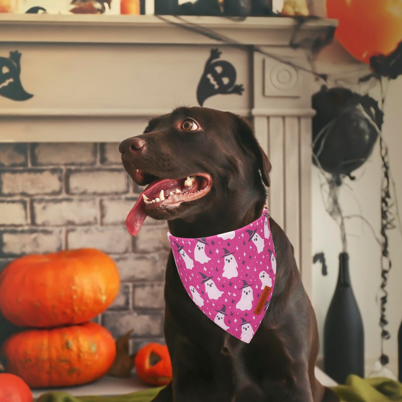 ADOGGYGO Halloween Dog Bandana