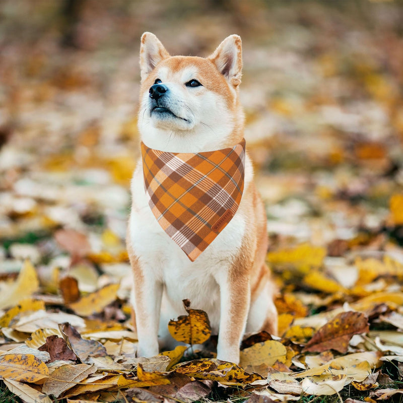 ADOGGYGO Halloween Dog Bandana