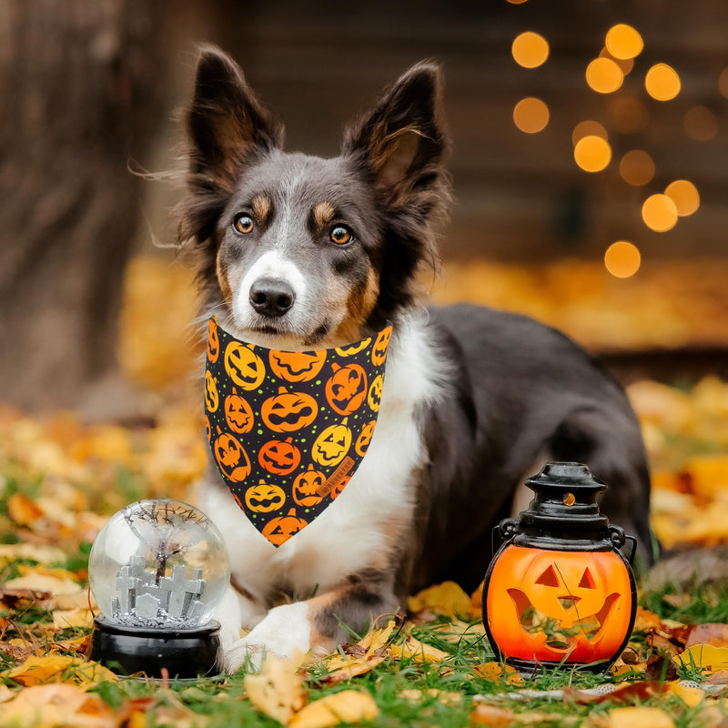 ADOGGYGO Halloween Dog Bandana