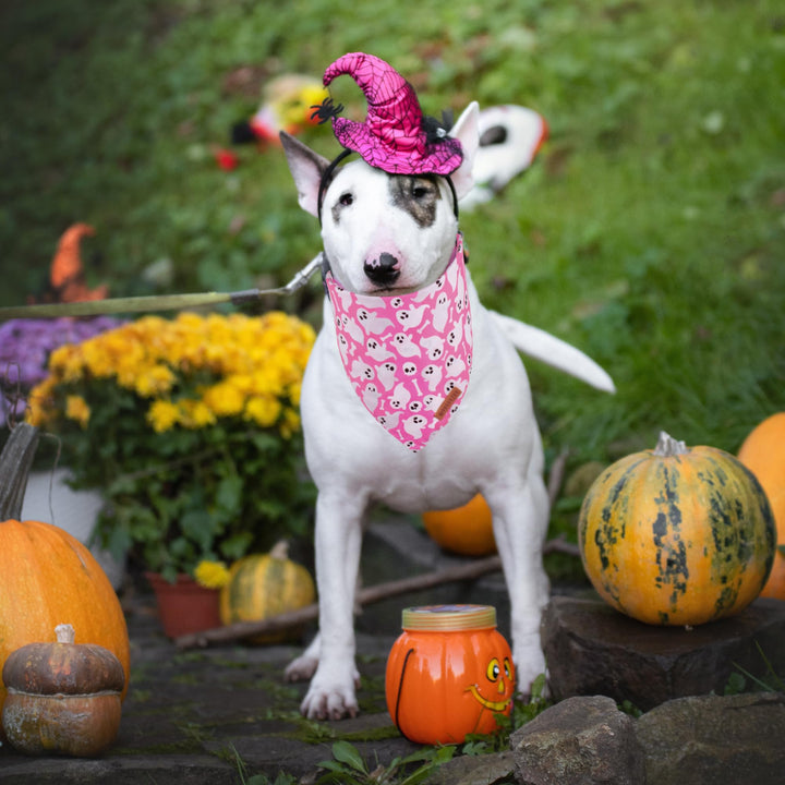 ADOGGYGO Halloween Dog Bandana