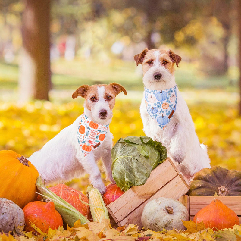 ADOGGYGO Halloween Dog Bandana