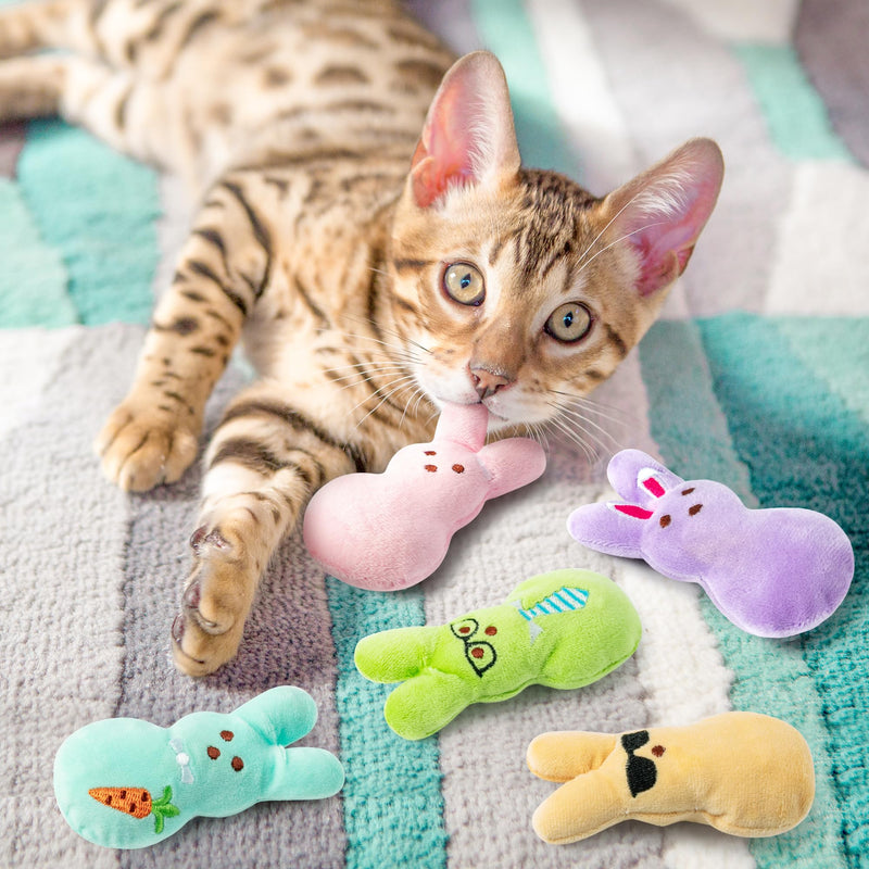 MALLMALL6 Halloween Catnip Toys – 5pcs Pumpkin Teething Set for Kittens & Cats