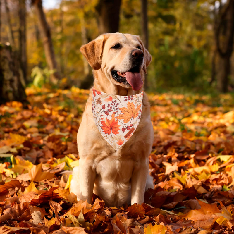 ADOGGYGO Halloween Dog Bandana