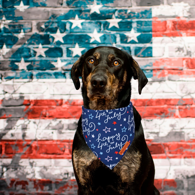 ADOGGYGO Halloween Dog Bandana