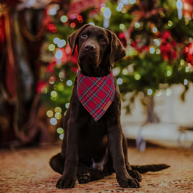 ADOGGYGO Halloween Dog Bandana