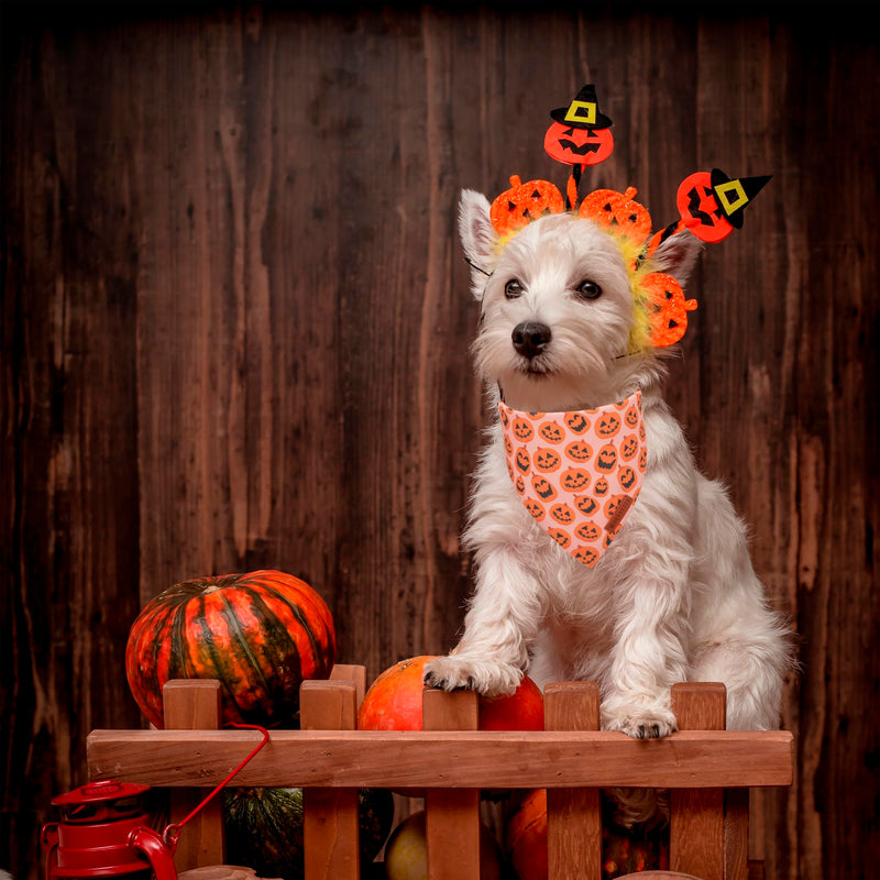 ADOGGYGO Halloween Dog Bandana