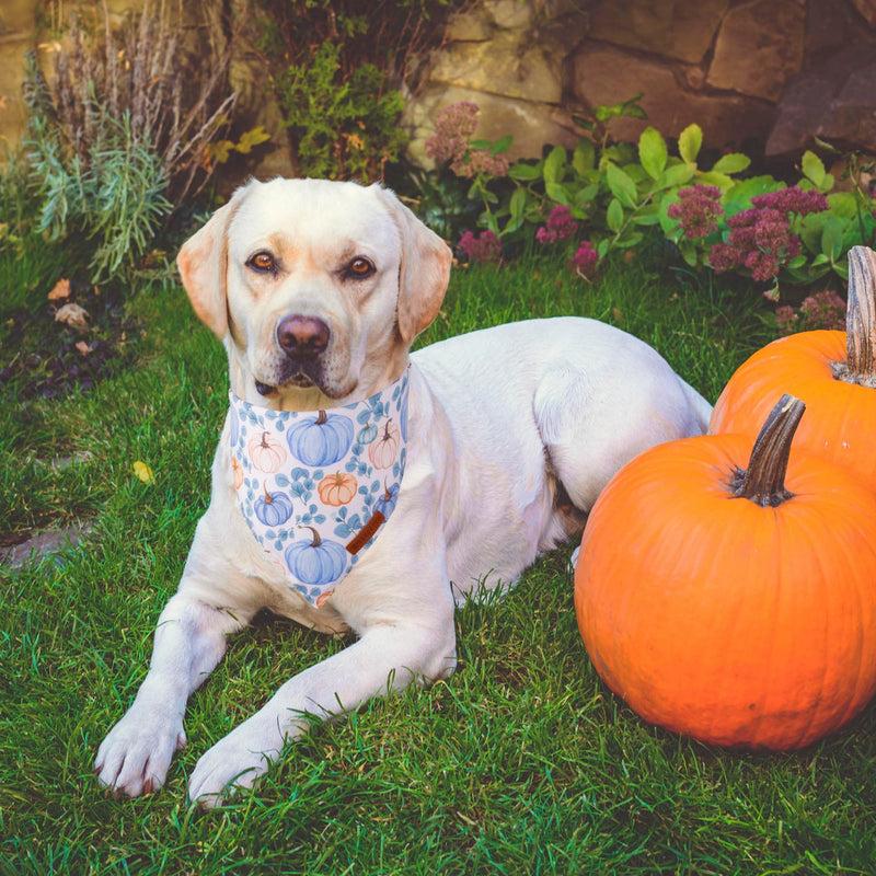 ADOGGYGO Halloween Dog Bandana