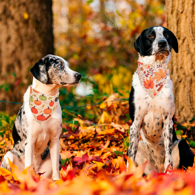 ADOGGYGO Halloween Dog Bandana