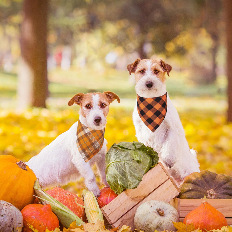 ADOGGYGO Halloween Dog Bandana