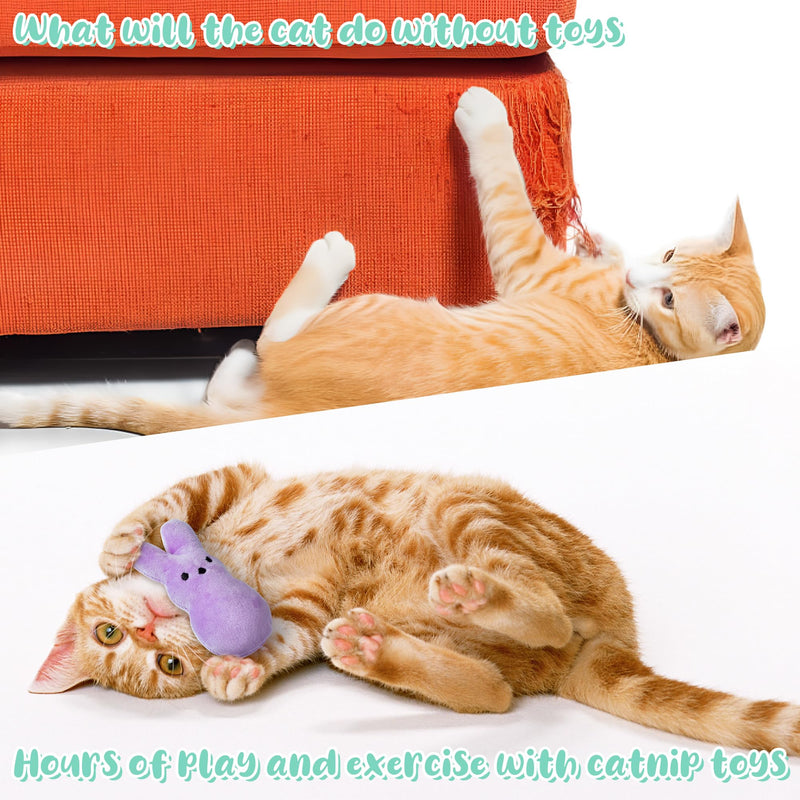 MALLMALL6 Halloween Catnip Toys – 5pcs Pumpkin Teething Set for Kittens & Cats