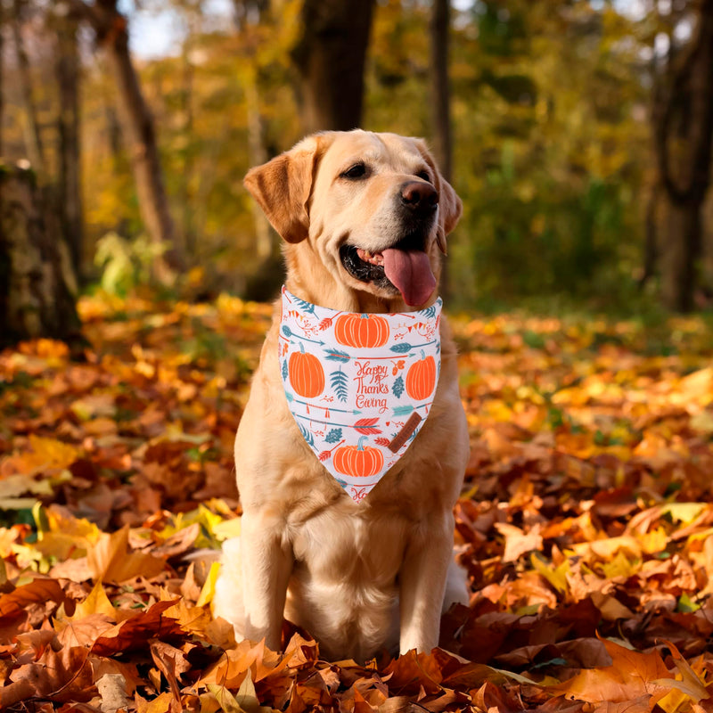 ADOGGYGO Halloween Dog Bandana