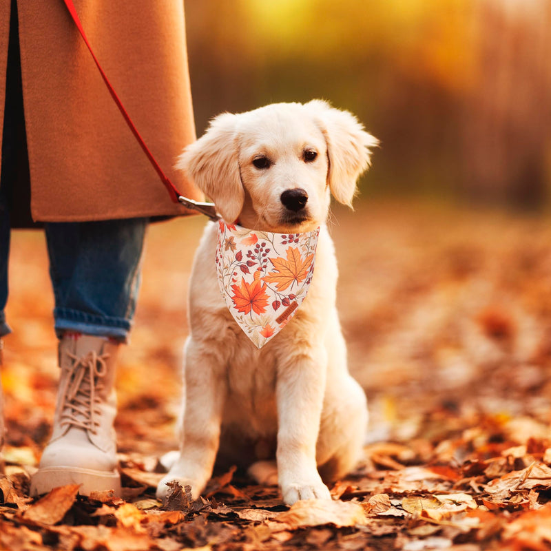 ADOGGYGO Halloween Dog Bandana
