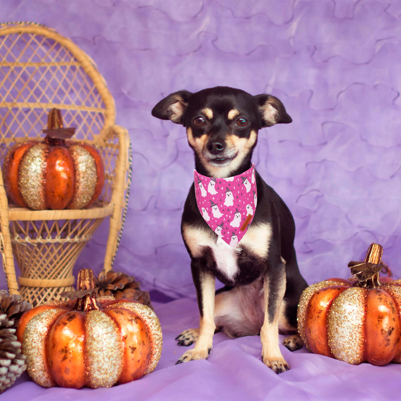ADOGGYGO Halloween Dog Bandana