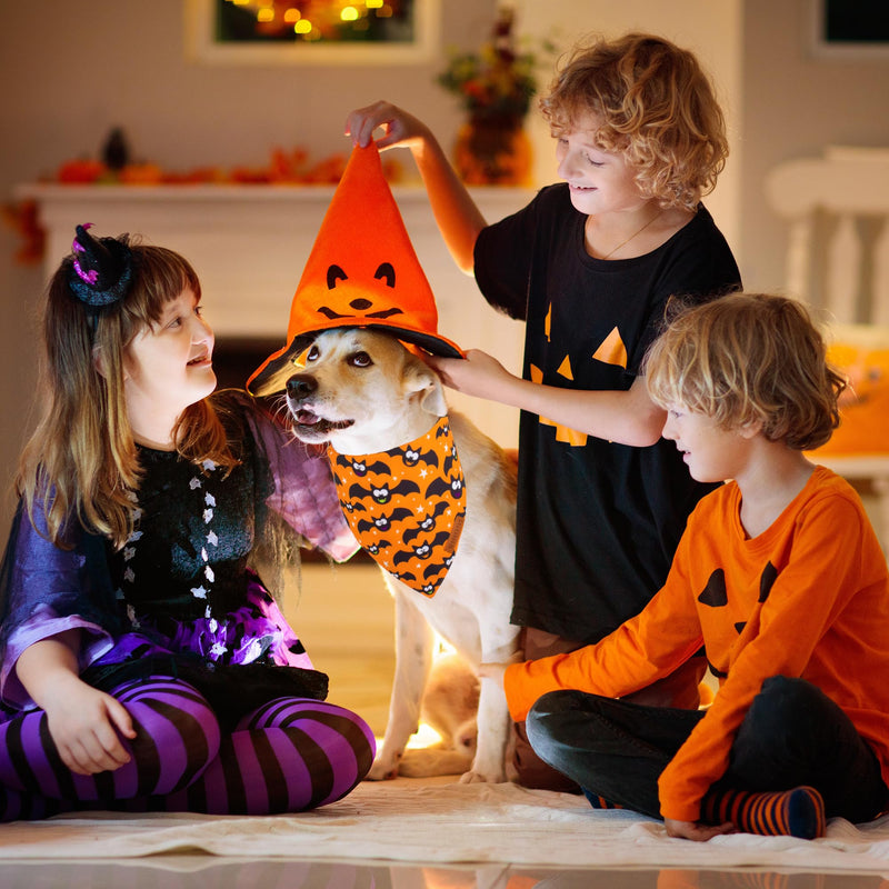 ADOGGYGO Halloween Dog Bandana