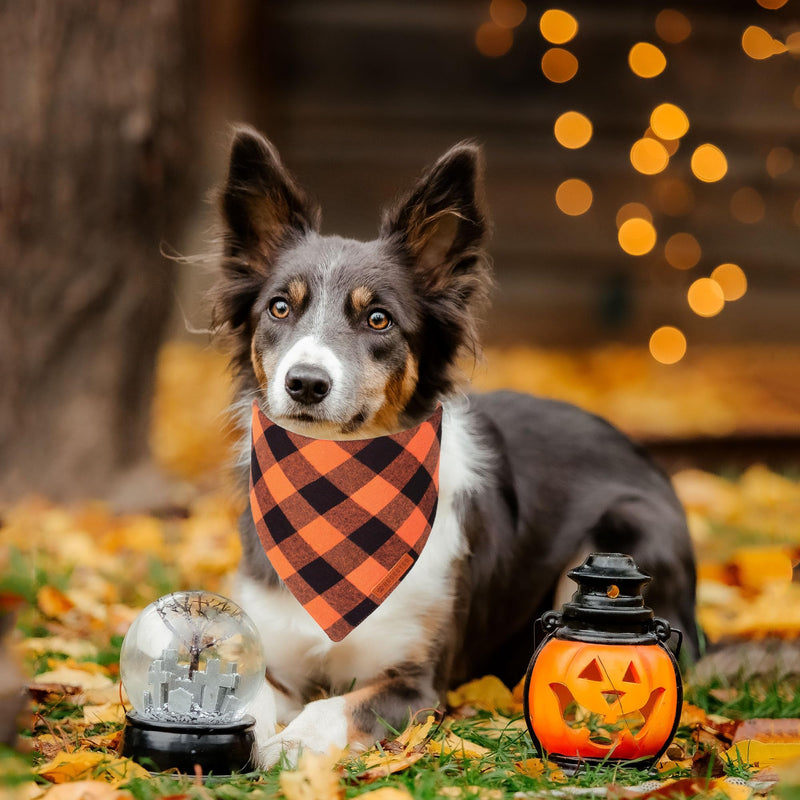 ADOGGYGO Halloween Dog Bandana