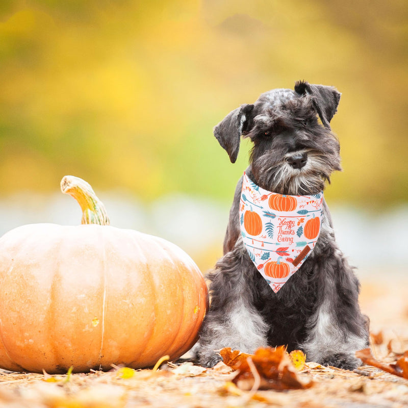 ADOGGYGO Halloween Dog Bandana