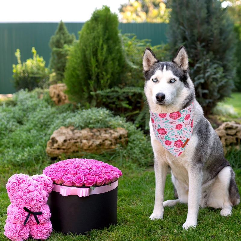 ADOGGYGO Halloween Dog Bandana