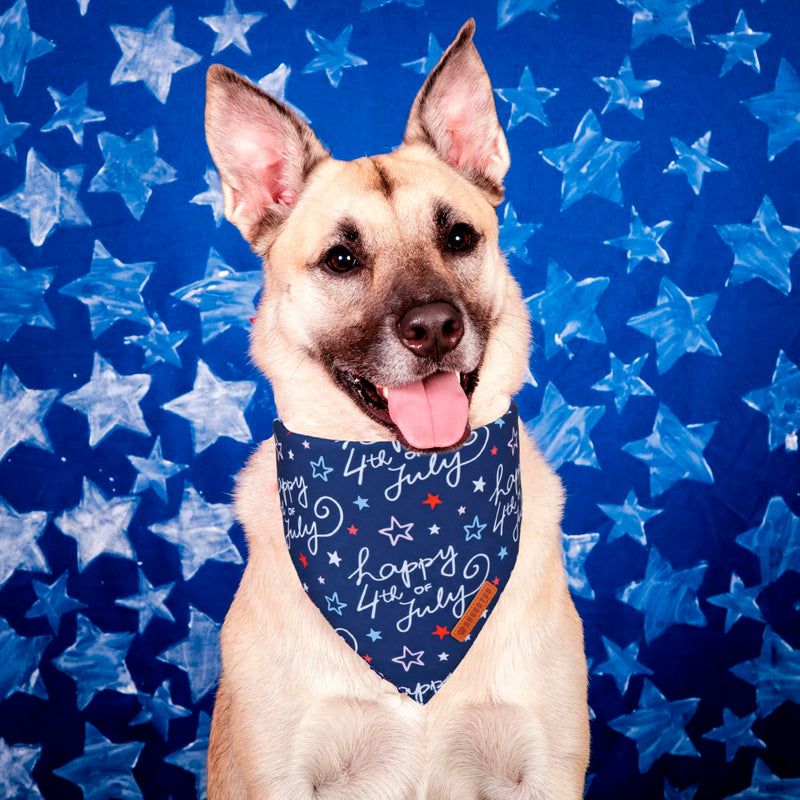ADOGGYGO Halloween Dog Bandana