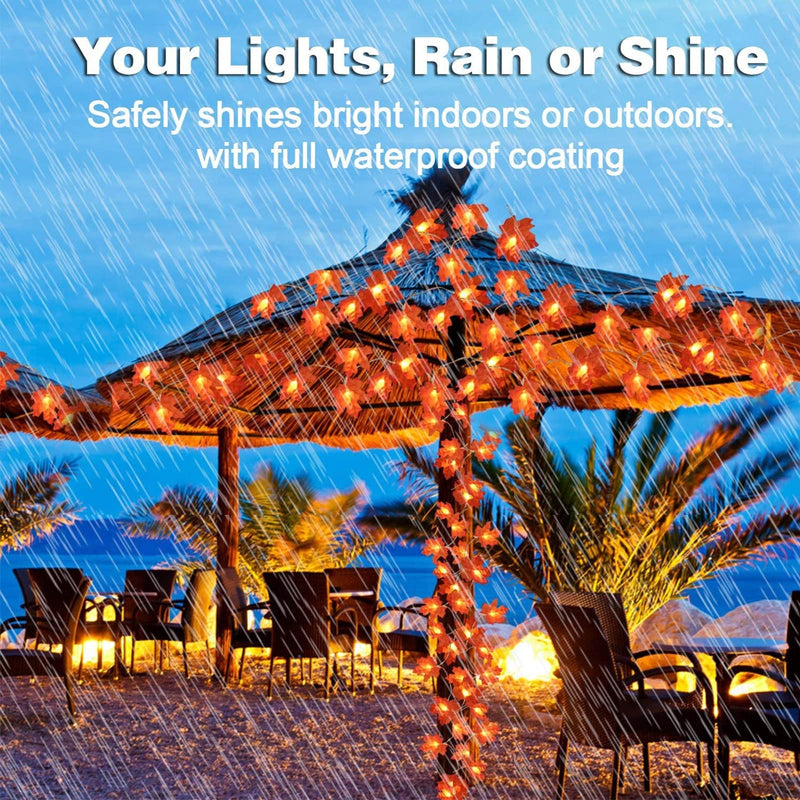 TURNMEON 2-Pack 20ft Maple Leaf LED String Lights