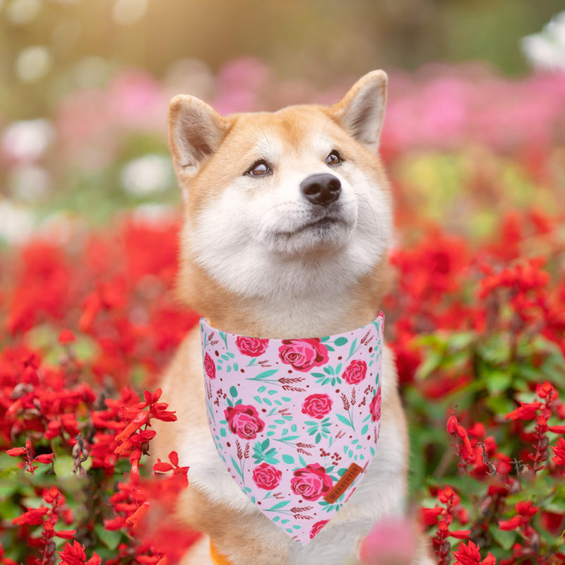 ADOGGYGO Halloween Dog Bandana