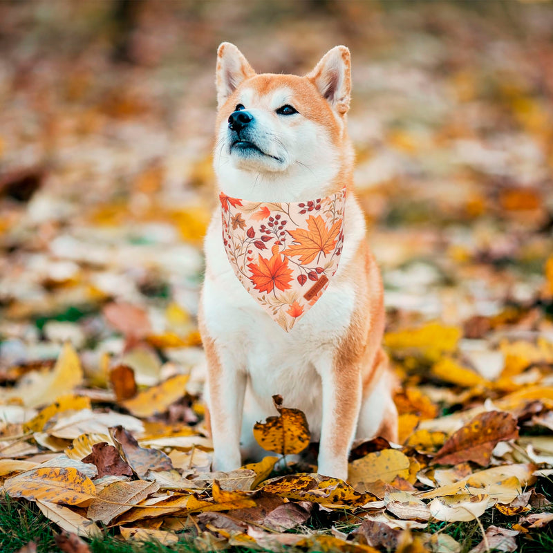 ADOGGYGO Halloween Dog Bandana