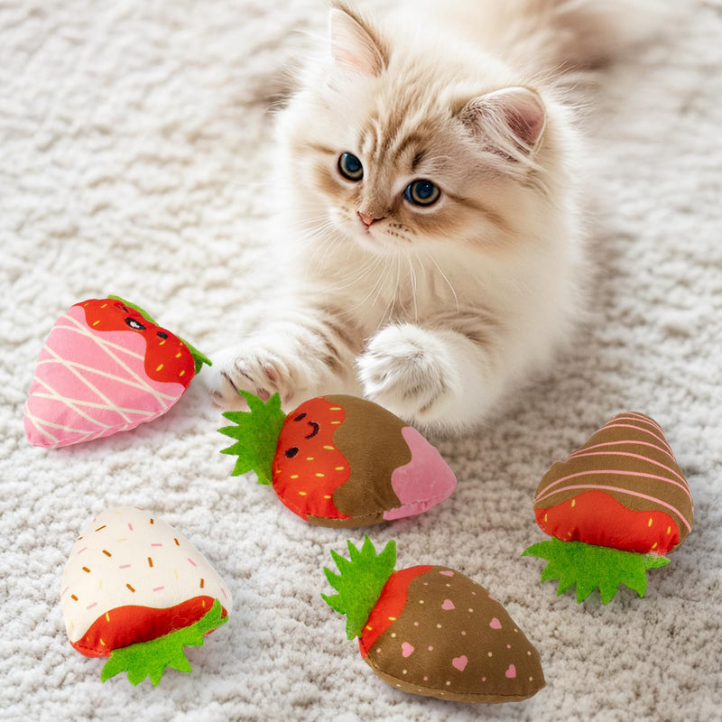 MALLMALL6 Halloween Catnip Toys – 5pcs Pumpkin Teething Set for Kittens & Cats
