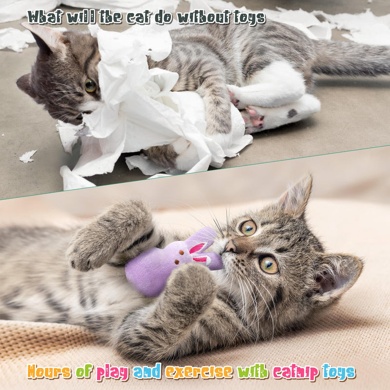 MALLMALL6 Halloween Catnip Toys – 5pcs Pumpkin Teething Set for Kittens & Cats