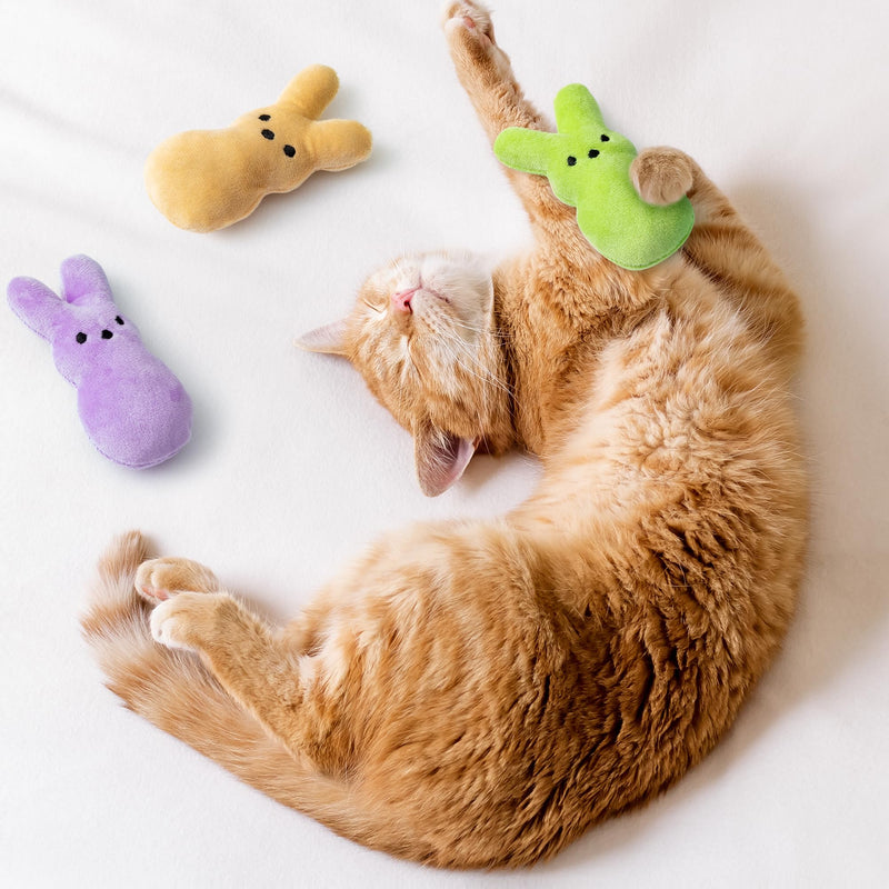 MALLMALL6 Halloween Catnip Toys – 5pcs Pumpkin Teething Set for Kittens & Cats
