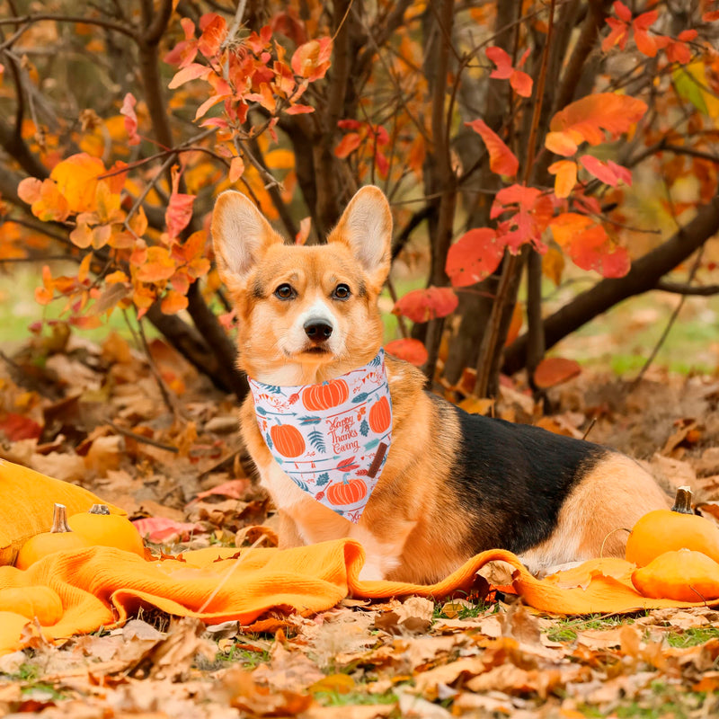 ADOGGYGO Halloween Dog Bandana