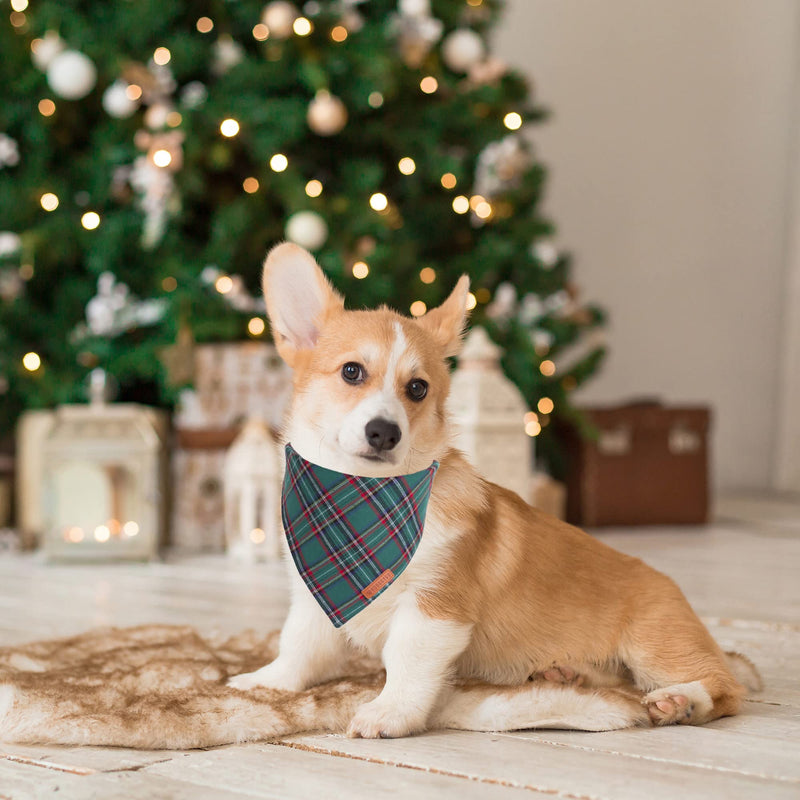 ADOGGYGO Halloween Dog Bandana