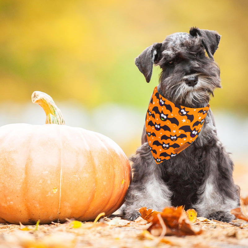 ADOGGYGO Halloween Dog Bandana