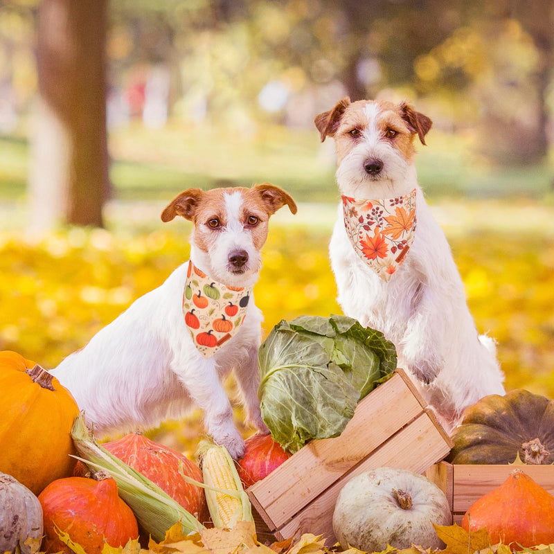 ADOGGYGO Halloween Dog Bandana