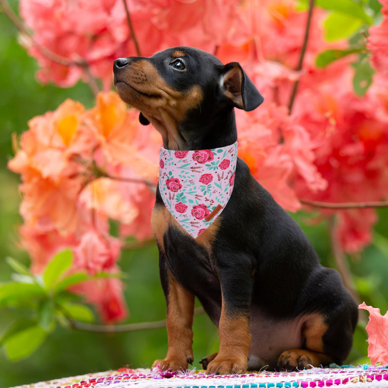 ADOGGYGO Halloween Dog Bandana