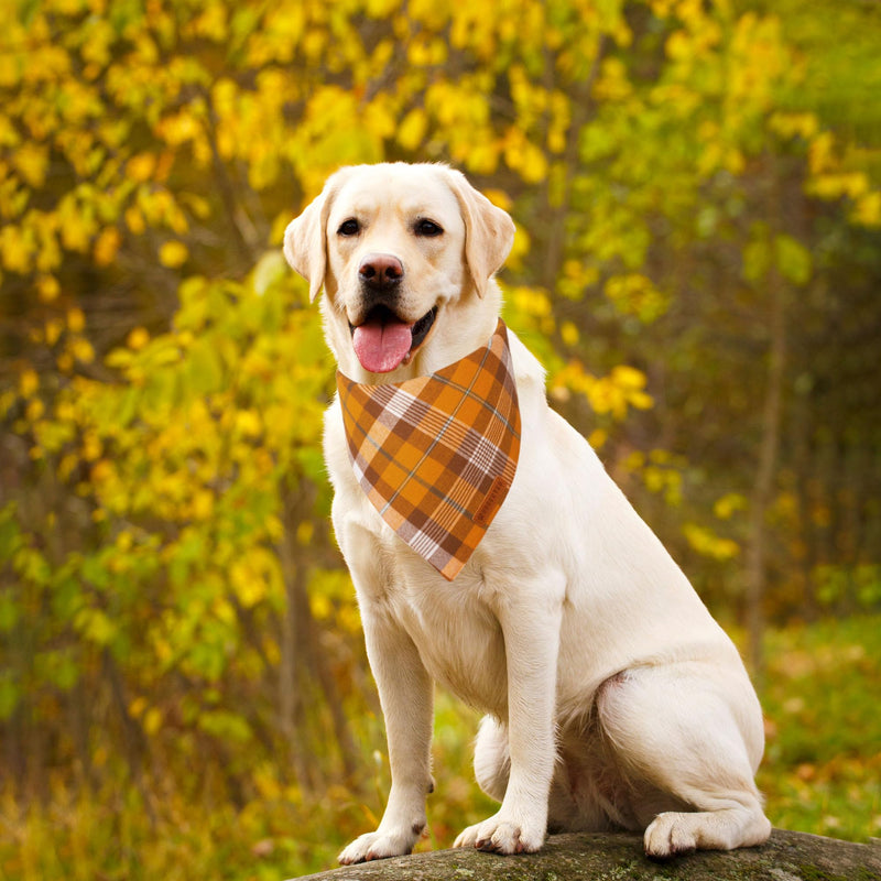 ADOGGYGO Halloween Dog Bandana