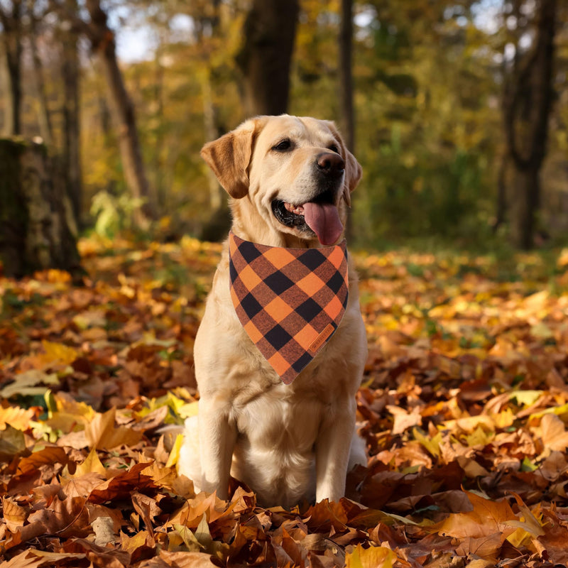 ADOGGYGO Halloween Dog Bandana